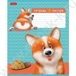 Тетрадь  18л клетка "Рыжий Коржик" /тиснение/ 5видов | Фото 3
