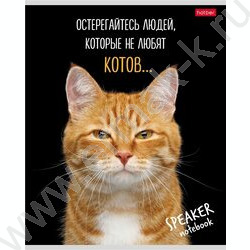 Тетрадь  40л клетка "Кот говорит!" ассорти | Фото 1