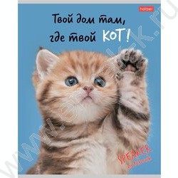 Тетрадь  40л клетка "Кот говорит!" ассорти | Фото 2