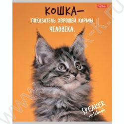 Тетрадь  40л клетка "Кот говорит!" ассорти | Фото 3