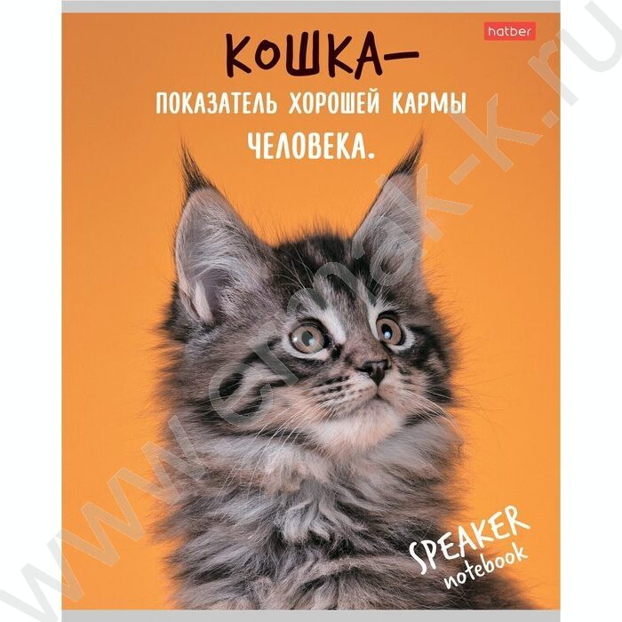 Тетрадь  40л клетка "Кот говорит!" ассорти | Фото 3