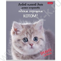 Тетрадь  40л клетка "Кот говорит!" ассорти | Фото 4