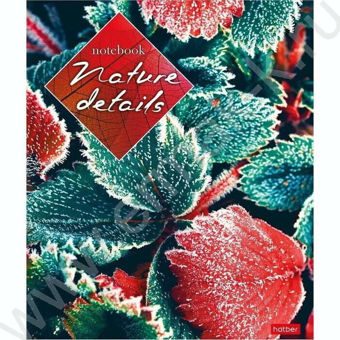 Тетрадь  40л клетка "Детали природы" ассорти | Фото 2