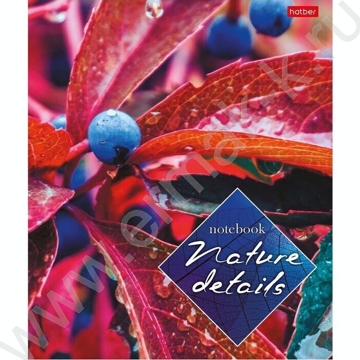 Тетрадь  40л клетка "Детали природы" ассорти | Фото 3