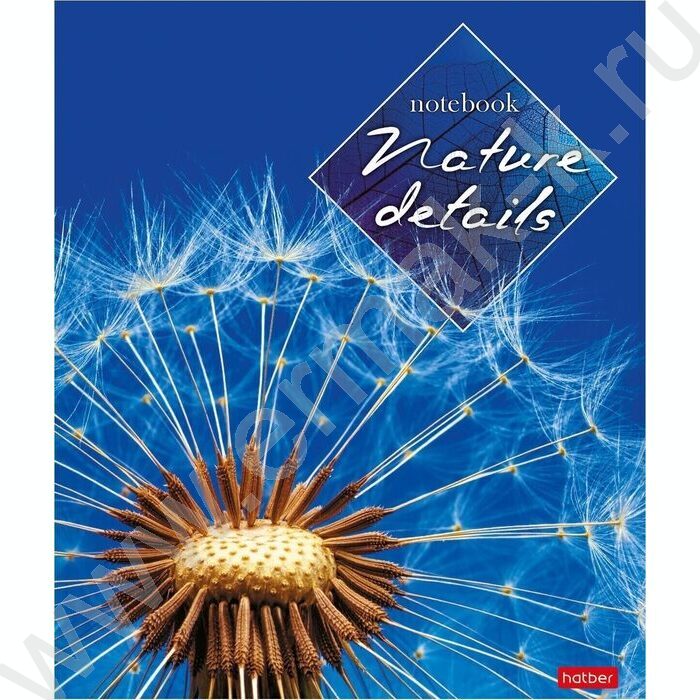 Тетрадь  40л клетка "Детали природы" ассорти | Фото 5