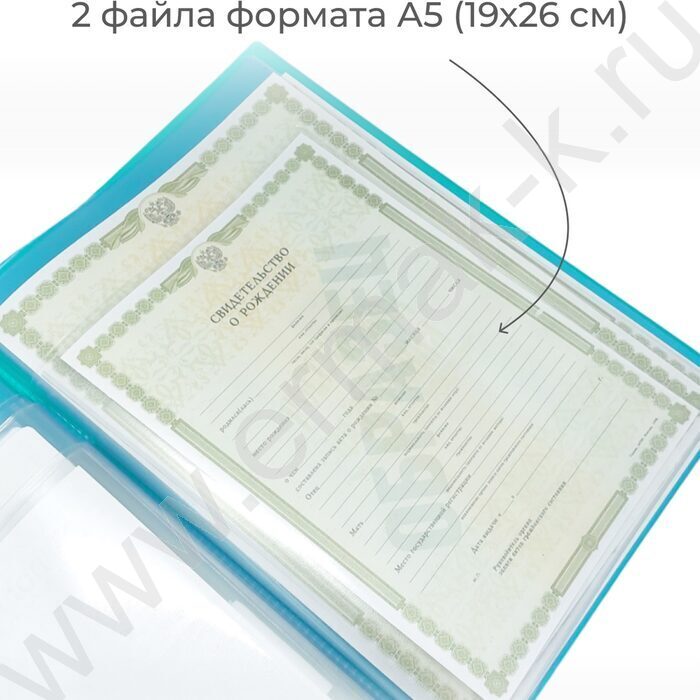 Папка с файлами для ОМС, свидетельств, СНИЛС 231*320мм /бирюзовая | Фото 5