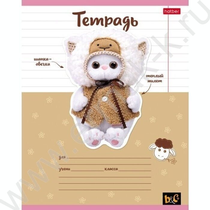 Тетрадь  12л линейка "Кошечка Лили" 5видов | Фото 1