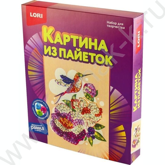 Набор д/творчества Картина из пайеток 20*25см "Колибри" | Фото 1