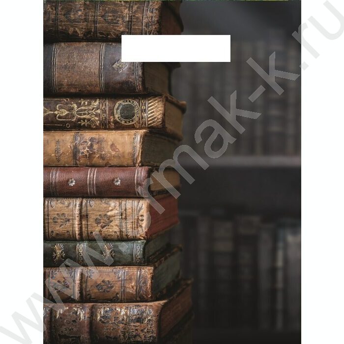 Пакет полиэтиленовый 36,5*48см/50 мкм Библиотека | Фото 1