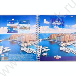 Тетрадь  80л клетка/спираль/двойная "Город на берегу-3" ассорти | Фото 3