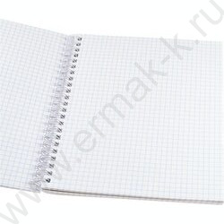 Тетрадь  80л клетка/спираль/двойная "Мегаполисы у воды" ассорти | Фото 8