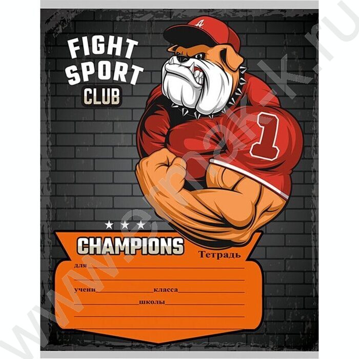 Тетрадь  12л линейка "Микс" 5видов | Фото 5