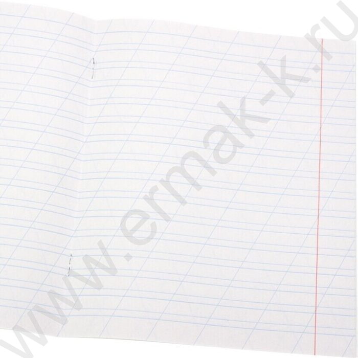 Тетрадь  12л линейка косая "Девчонки в походе" 5видов | Фото 2