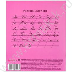 Тетрадь  12л линейка косая "Фруктовые зарисовки" 5видов | Фото 8