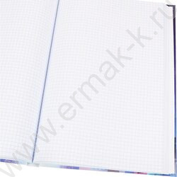 Книга Учёта 196л клетка тв.обл.офсет "Мегаполис будущего" | Фото 3