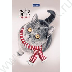 Блокнот  40л А6 "Кототерапия" /отрывная склейка, ламинация,клетка | Фото 1
