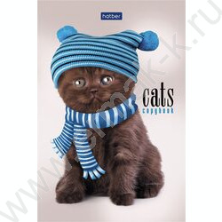 Блокнот  40л А6 "Кототерапия" /отрывная склейка, ламинация,клетка | Фото 3