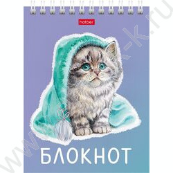 Блокнот  40л А6 спираль "Котики бывают разными" ассорти | Фото 1