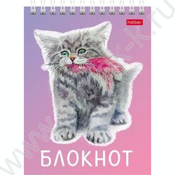 Блокнот  40л А6 спираль "Котики бывают разными" ассорти | Фото 2