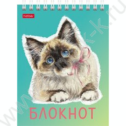 Блокнот  40л А6 спираль "Котики бывают разными" ассорти | Фото 3