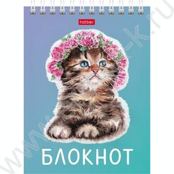 Блокнот  40л А6 спираль "Котики бывают разными" ассорти | Фото 4