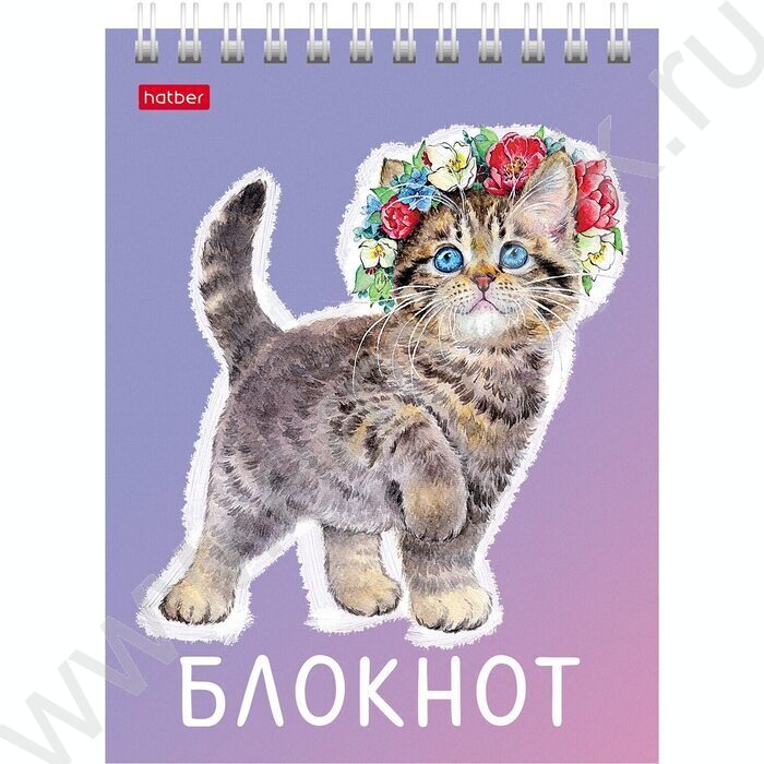 Блокнот  40л А6 спираль "Котики бывают разными" ассорти | Фото 5