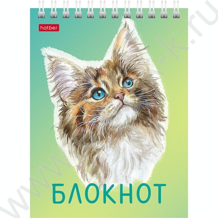 Блокнот  40л А6 спираль "Котики бывают разными" ассорти | Фото 6