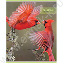 Тетрадь  48л клетка "Дикий мир" (блок эконом) | Фото 3