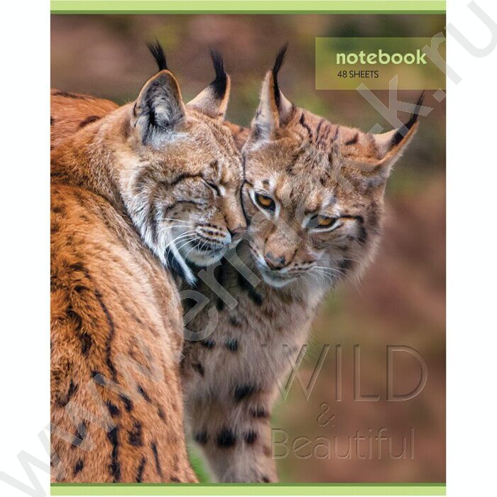 Тетрадь  48л клетка "Дикий мир" (блок эконом) | Фото 4