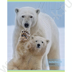 Тетрадь  48л клетка "Дикий мир" (блок эконом) | Фото 6