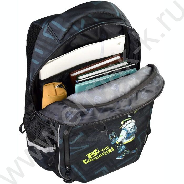 Рюкзак школьный Пингвин-сноубордист полиэстер, сублимация, 1 отделение (-я), молния, тип спинки: | Фото 9