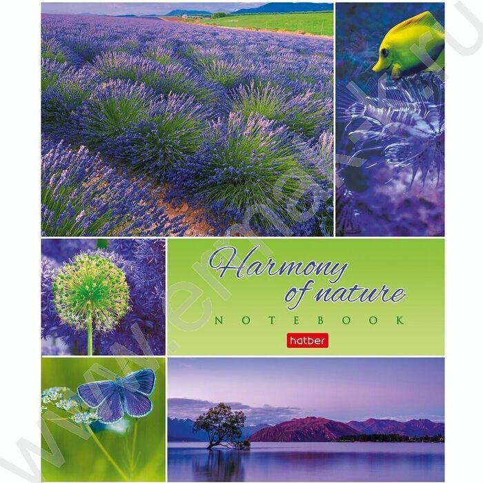 Тетрадь  80л клетка "Гармония природы" ассорти | Фото 1