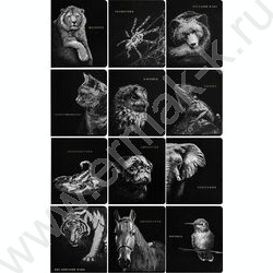 Тетрадь предметная 48л Набор 12шт "Blacksoft" /х.ф,софт-тач,в.л,тисн.ф/ | Фото 1