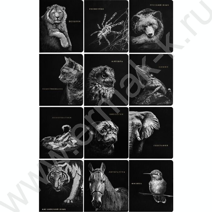 Тетрадь предметная 48л Набор 12шт "Blacksoft" /х.ф,софт-тач,в.л,тисн.ф/ | Фото 1