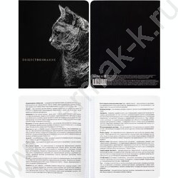 Тетрадь предметная 48л Набор 12шт "Blacksoft" /х.ф,софт-тач,в.л,тисн.ф/ | Фото 5