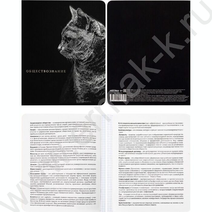 Тетрадь предметная 48л Набор 12шт "Blacksoft" /х.ф,софт-тач,в.л,тисн.ф/ | Фото 5