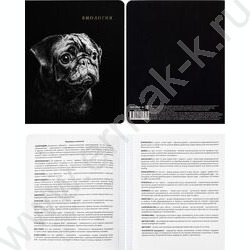 Тетрадь предметная 48л Набор 12шт "Blacksoft" /х.ф,софт-тач,в.л,тисн.ф/ | Фото 6