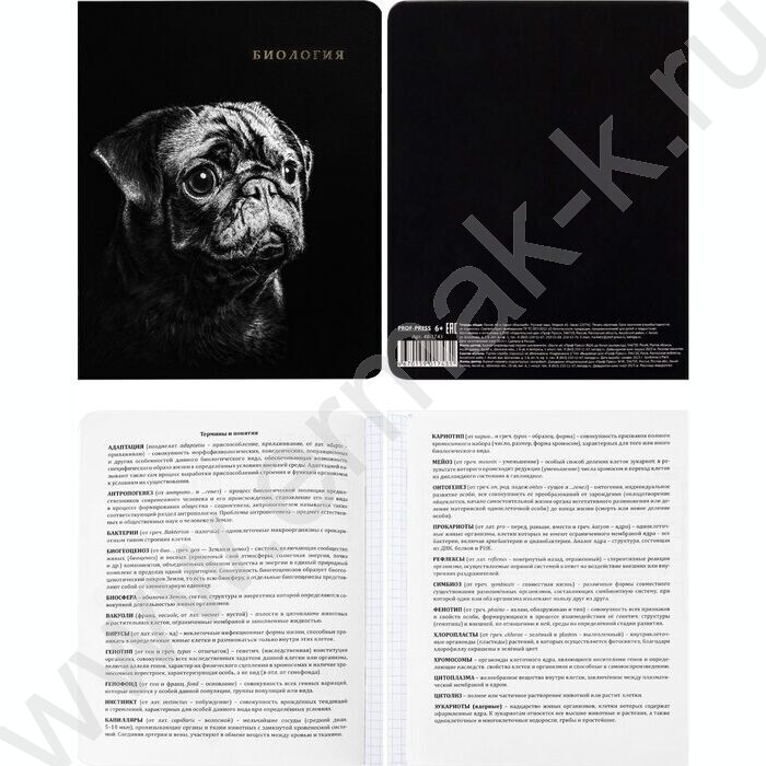 Тетрадь предметная 48л Набор 12шт "Blacksoft" /х.ф,софт-тач,в.л,тисн.ф/ | Фото 6