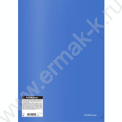 Папка уголок А4 Glossy Vivid /полупрозрачная, ассорти | Фото 4