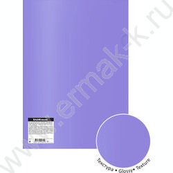 Папка уголок А4 Glossy Vivid /полупрозрачная, ассорти | Фото 5