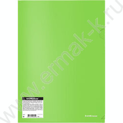 Папка уголок А4 Glossy Neon /полупрозрачная, ассорти | Фото 4