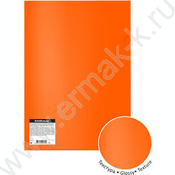 Папка уголок А4 Glossy Neon /полупрозрачная, ассорти | Фото 5