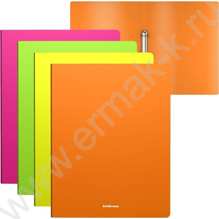 Папка 2 кольца 24мм Matt Neon /ассорти | Фото 1