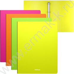 Папка 4 кольца 24мм Matt Neon /ассорти | Фото 1