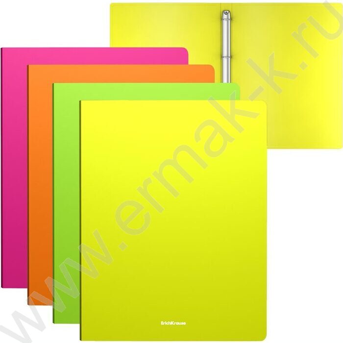 Папка 4 кольца 24мм Matt Neon /ассорти | Фото 1