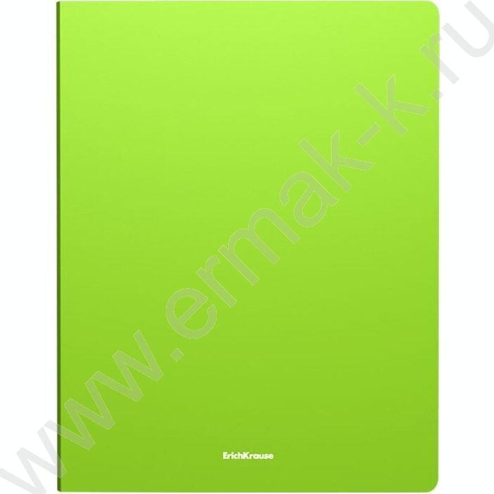 Папка 4 кольца 24мм Matt Neon /ассорти | Фото 3