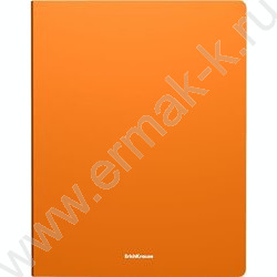 Папка 4 кольца 24мм Matt Neon /ассорти | Фото 4