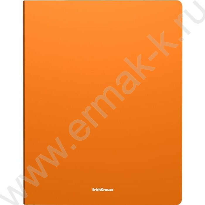 Папка 4 кольца 24мм Matt Neon /ассорти | Фото 4