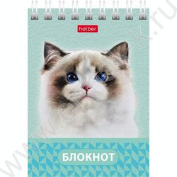 Блокнот  40л А7 спираль "Глазки, ушки, носик" | Фото 1