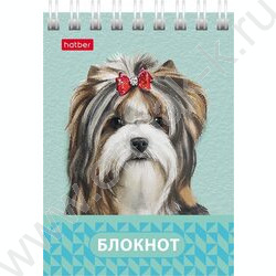 Блокнот  40л А7 спираль "Глазки, ушки, носик" | Фото 2